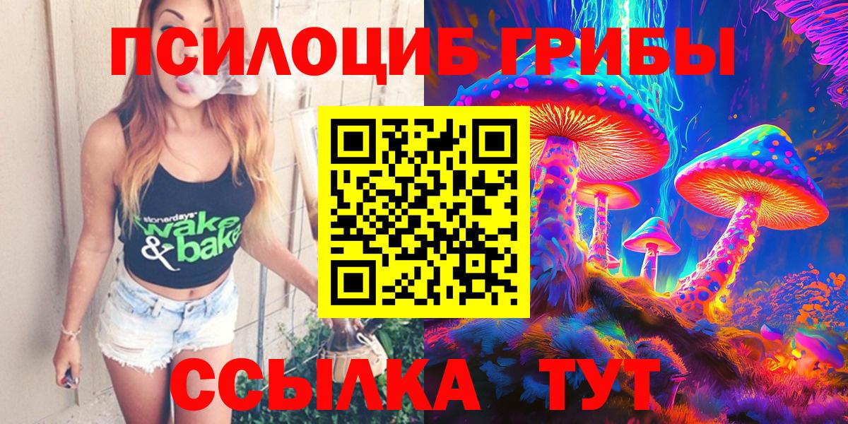 где продают наркотики  Галлюциногенные грибы GOLDEN TEACHER  Вход с VPN  Отрадное 