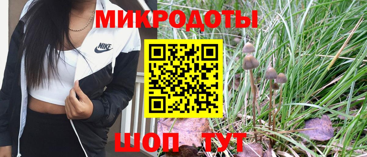 Галлюциногенные грибы Magic Shrooms Отрадное